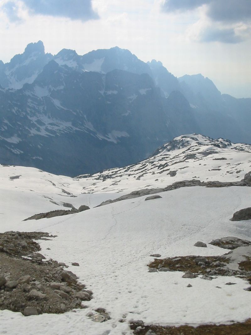 105-0555_IMG.jpg