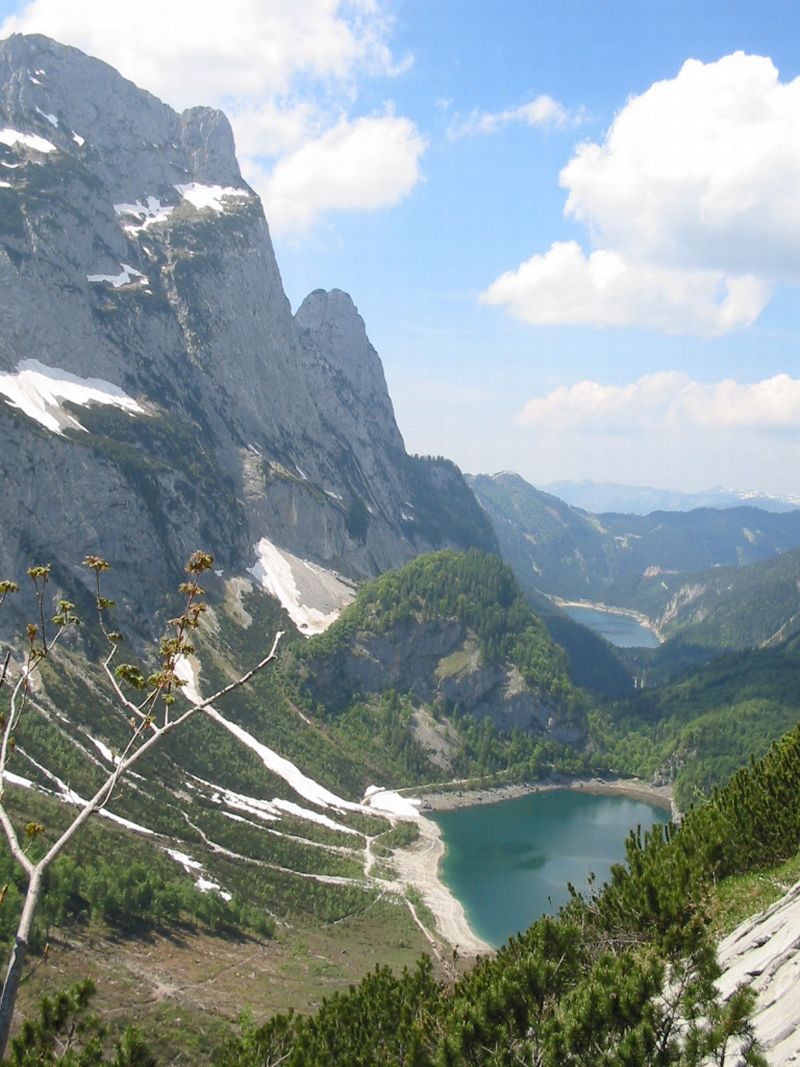 105-0545_IMG.jpg
