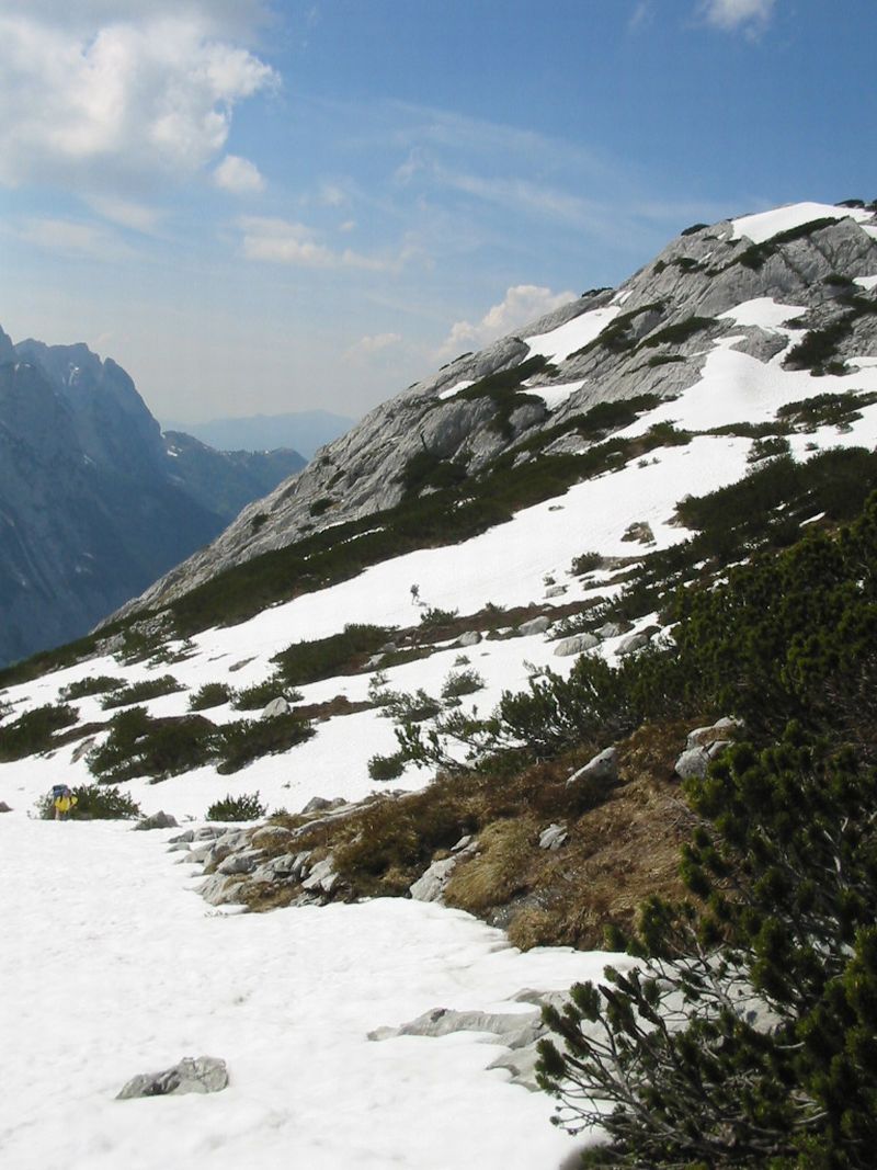 105-0550_IMG.jpg
